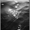 24_04_2026_0023-2 Old sun small plate "Coast" no. 06